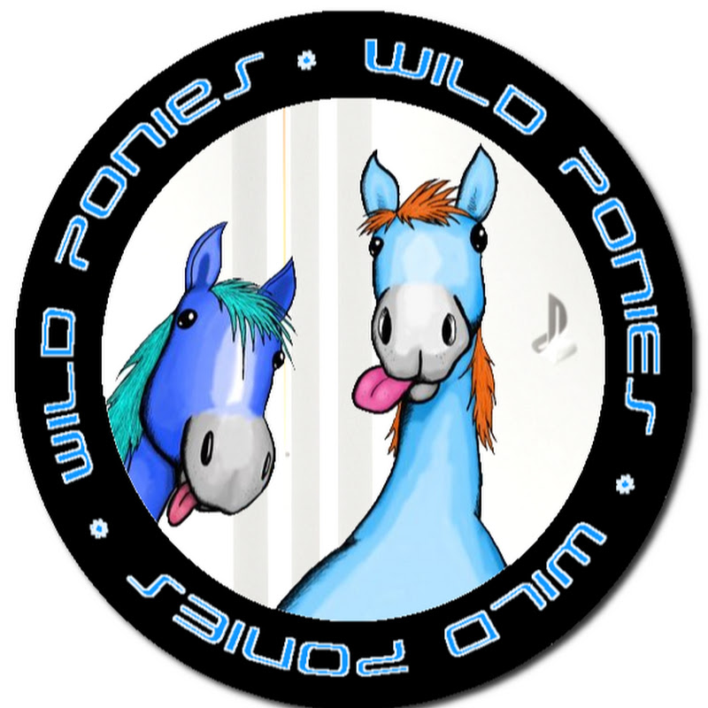 Wild Ponies