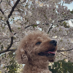 むらさき