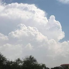 South Asian Weather Forecast