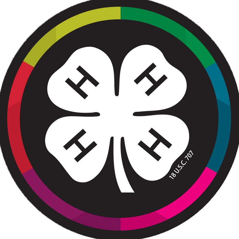 Illinois 4-H STEM