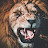 @RainNT's avatar