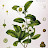 @lucianodebenedictis6014's avatar
