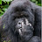 @monkey_monkey_