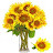 @morningsun1274