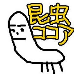 昆虫ココア