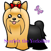 Scarlett the Yorkshire