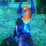 dpBrSXMyDyE-channel-avatar-目黒5080