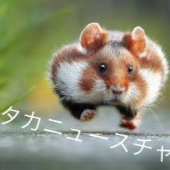 たこたこ