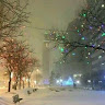 Автор