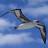 @user-uz6jn4ih1c