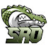 Vq-XyfHKPtM-channel-avatar-More SRO