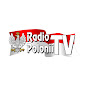 Radio Polonii TV logo