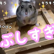はる君ペット