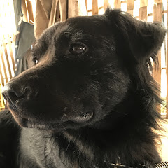 ASO Boyアイコン画像