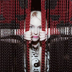 Nikki Paige net worth