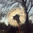 youtube avatar