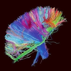 Muse Mania