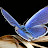 butterflywing009