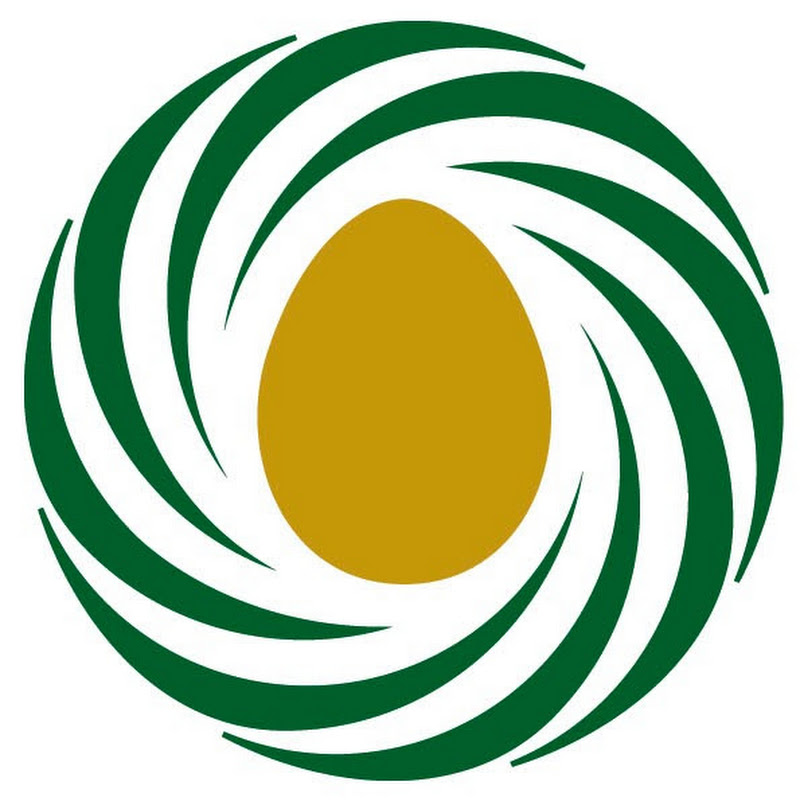 Retirement Income Analysts, LLC