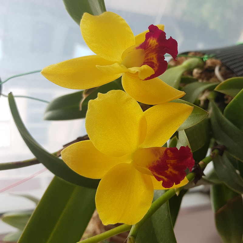 우리골 아이들 Logo