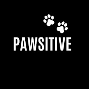 pawsitive