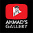 Ahmad's Gallery