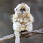 @sdnikko8960 Avatar