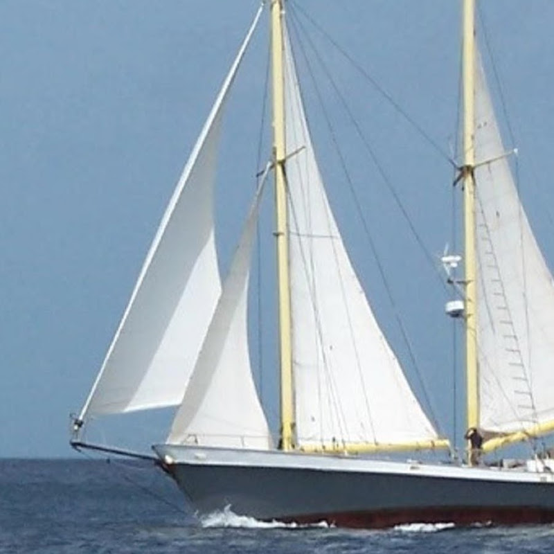 valhallavoilier4114