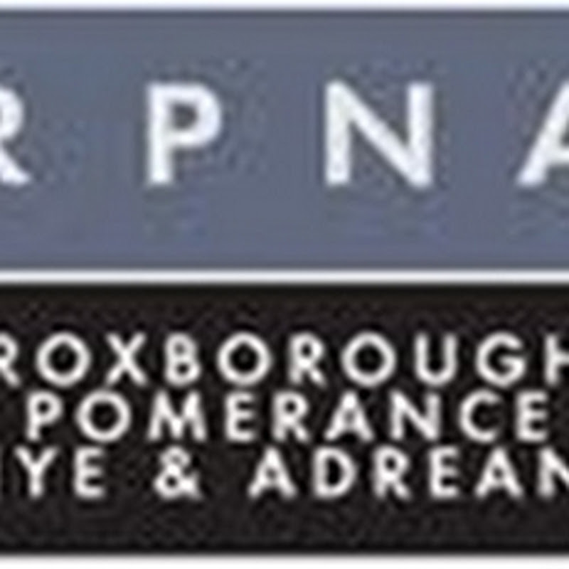 rpnalaw icon