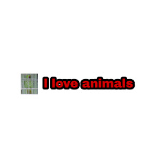 I love animals