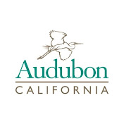 audubonca