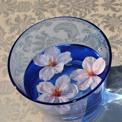 Toneyアイコン画像