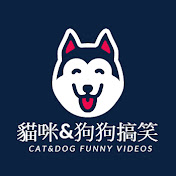 貓咪&狗狗搞笑 Cat&dog Funny videos
