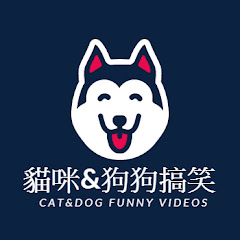 貓咪&狗狗搞笑 Cat&dog Funny videos avatar