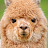 Demented-Alpaca