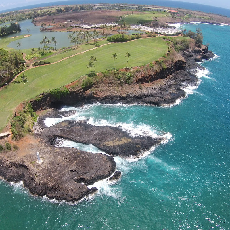 Hawaii Tee Times