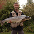 W4O4eMF1j9g-channel-avatar-Graeme Wilkinson