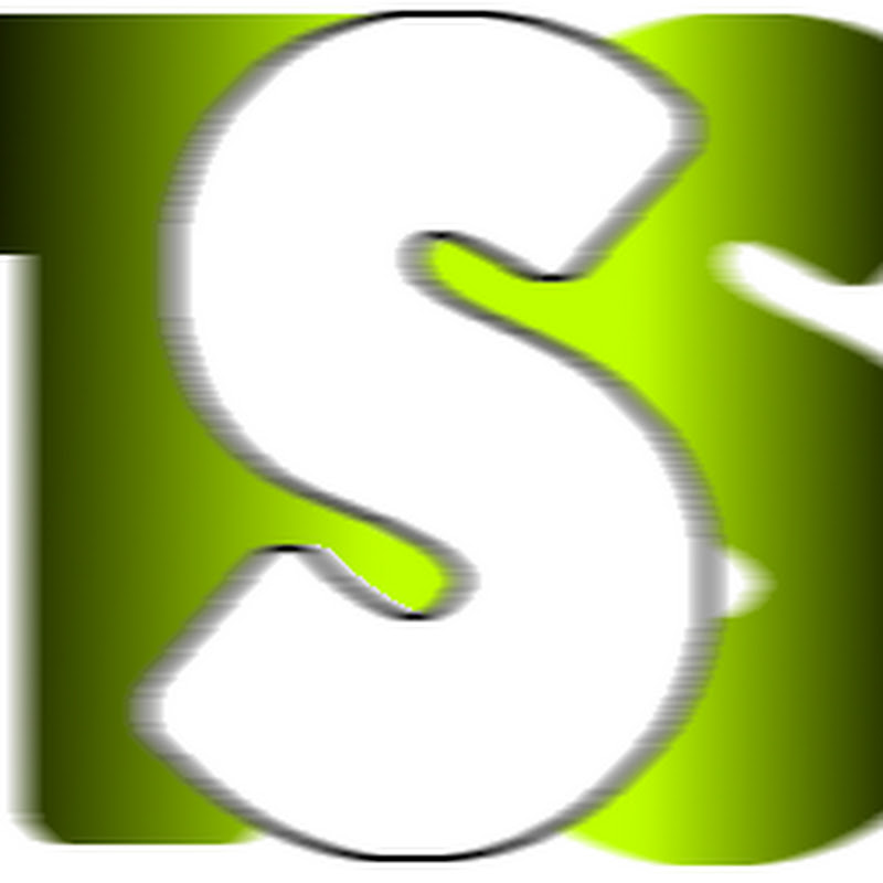 TheSimStandard