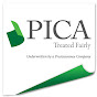 PICANetwork logo