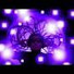 HOUjBNZOBJw-channel-avatar-ScotProjectMusic