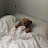 @purple_otter