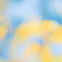 VCX6St5UTVg-channel-avatar-Pudding_ Lee
