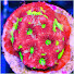 Js3MkffDtWc-channel-avatar-Sids Reef