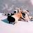 @1dat's avatar