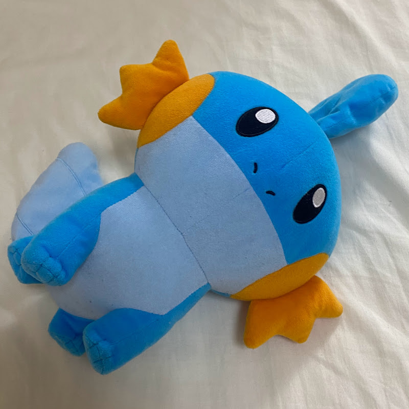 かっしーチャンネルのサムネイル