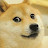 @user-ky7te7hq1m