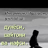 Автор