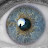 @DickVanPaiton Avatar