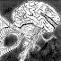 Gs2dZJ9VGes-channel-avatar-Reynold Sanity