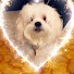 m1B_kq9jaBY-channel-avatar-LMASH Channel